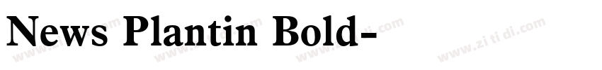 News Plantin Bold字体转换